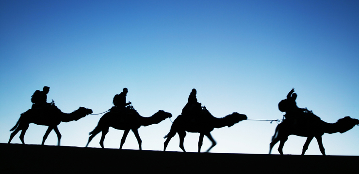 Diplomlehrgang Reiseleiter